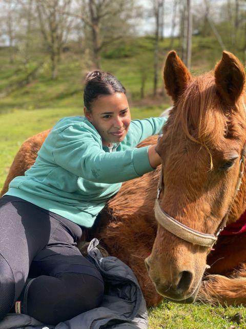 Meditate With Horses - Meeting rescued horses at Holmeshead Farm