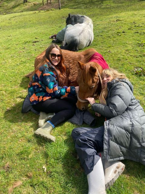 Meditate With Horses - The first two-hour workshop: grooming, touch, and attention