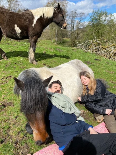 Meditate With Horses - The one-hour break: time to reset