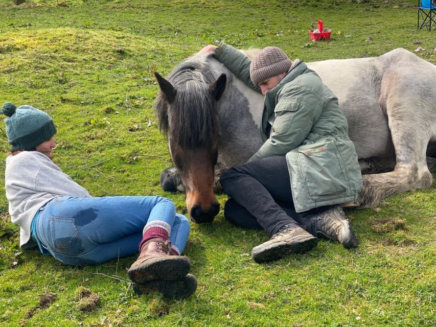Meditate With Horses - The second two-and-a-half-hour workshop: breath work and guided meditation
