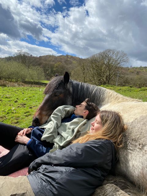 Meditate With Horses - What the horses can teach you about being present