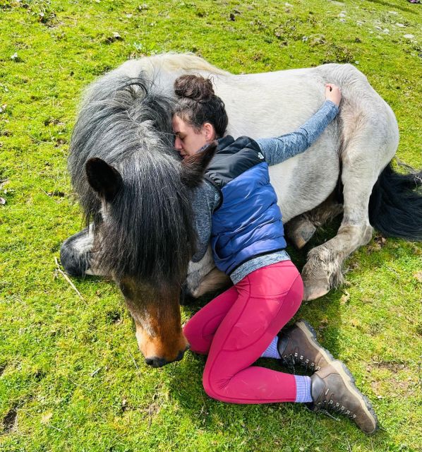 Meditate With Horses - The Lake District setting adds more than scenery