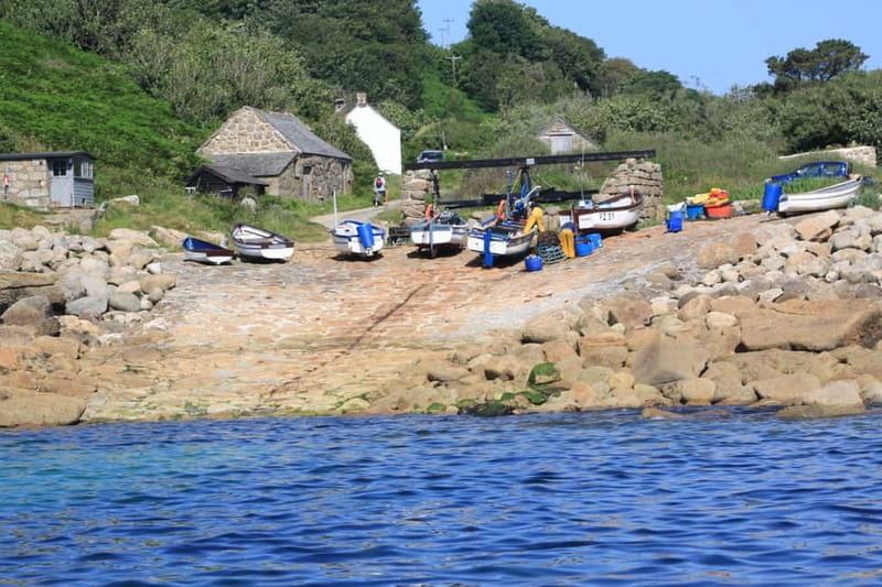 Mounts Bay, Penzance Boat Trip - A compact trip with a scientific guide