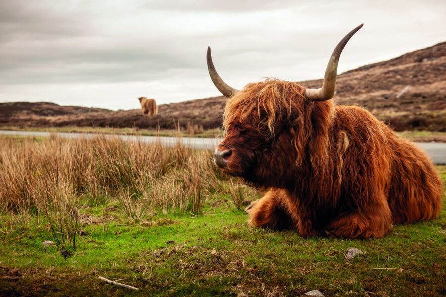 North Coast 500: 3-Day Small-Group Tour from Inverness - Britain’s northern edge and the North Sea
