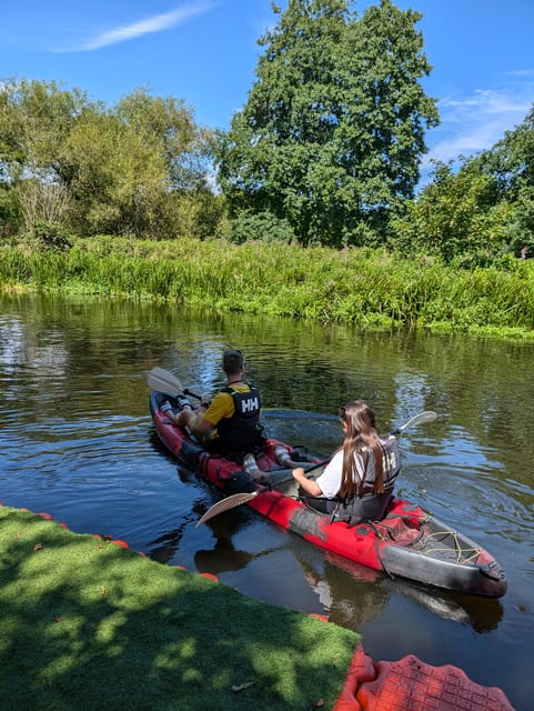 Norwich: Kayak down the Norfolk Broads - Wildlife along the riverbanks