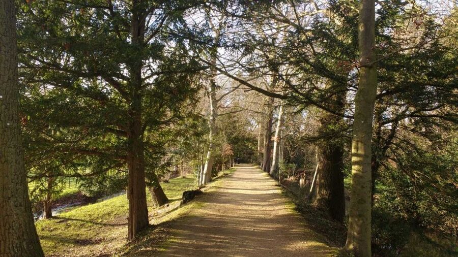 Oxford: C.S. Lewis & J.R.R. Tolkien Guided Walking Tour - Why this Oxford tour works for Lewis and Tolkien fans
