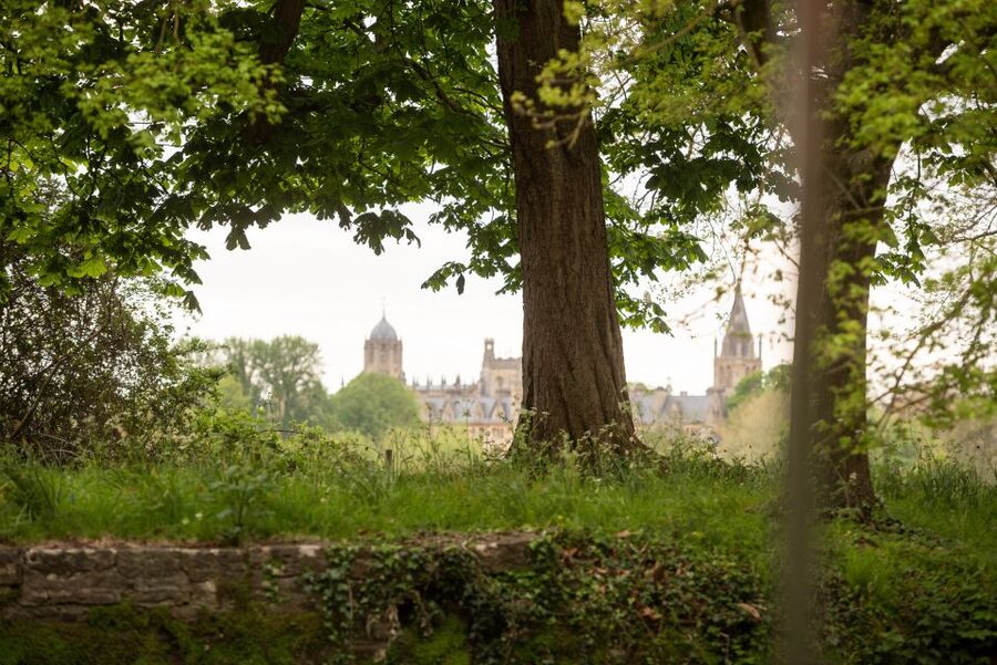 Oxford: Evening Sightseeing River Cruise with a Cocktail - What the guide adds to the short route