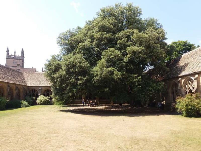 Oxford: Harry Potter Tour with New College & Divinity School - New College cloisters and Malfoy’s ferret scene