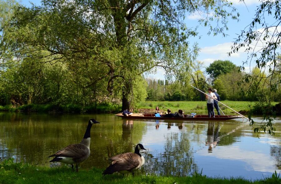 Oxford: Official University and City Walking Tour - Harry Potter locations and Oxford’s film appeal