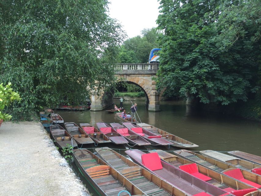 Oxford: Private City Tour & University Historical Highlights - Bodleian Library and Harry Potter scenes