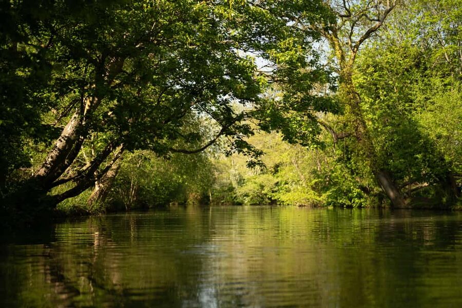 Oxford: Punting Tour on the River Cherwell - Passing St. Hilda’s College gardens