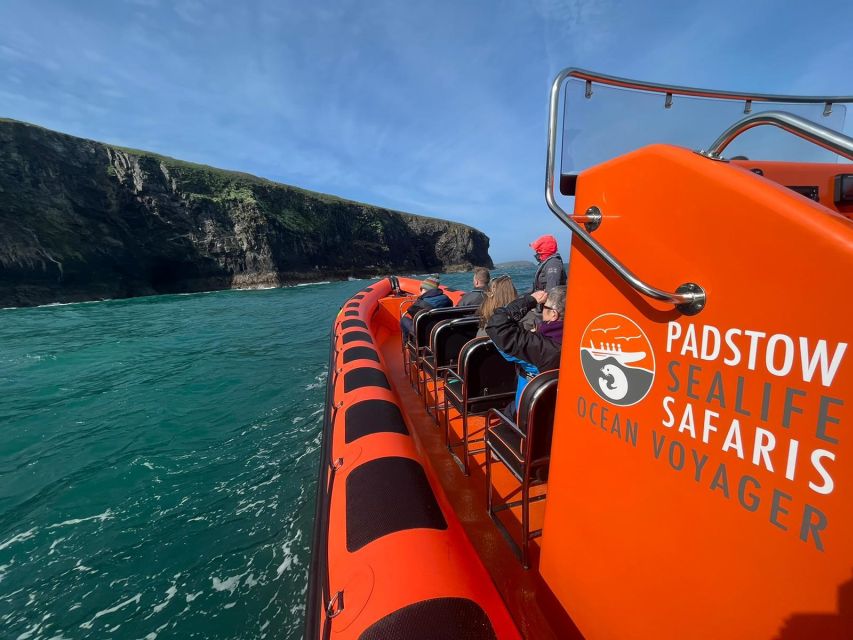 Padstow: Guided RIB Sealife Safari - The guides, skipper, and small-group feel