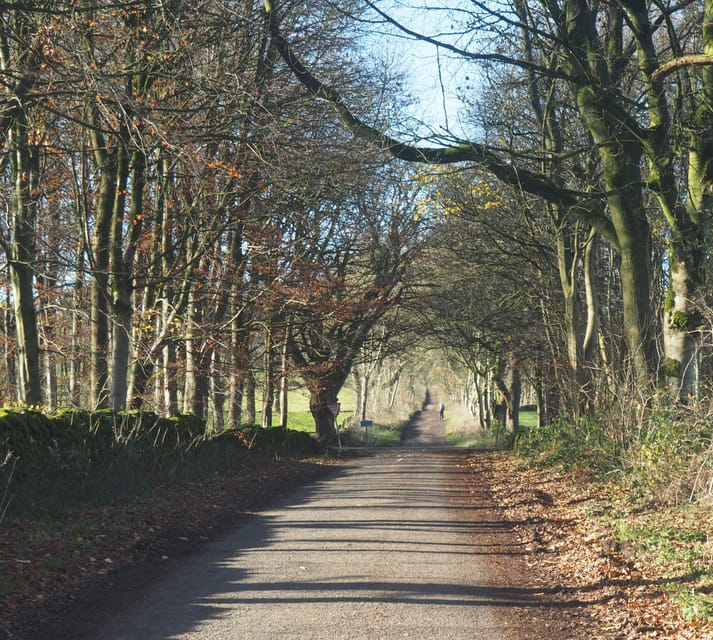 Peak District Highlights eBike Tour - Guided riding with Mike or independent navigation