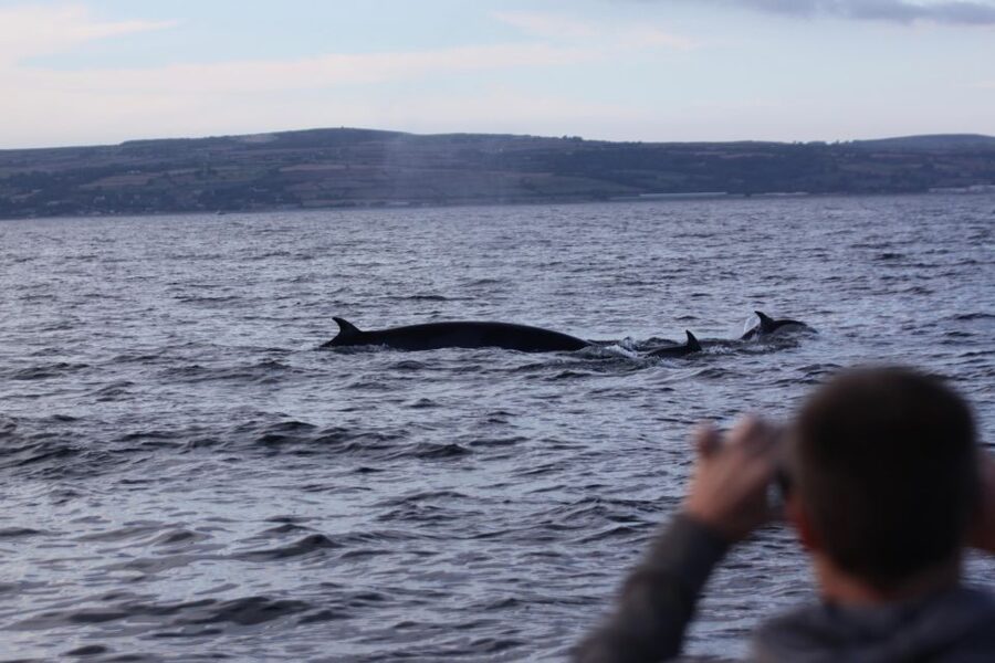 Penzance: Land's End Boat Tour with Wildlife Guides - Porthcurno, the Minack Theatre, and fishing villages