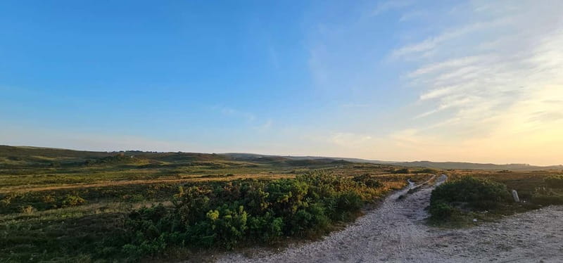 Poole: Old Harry Rocks and Corfé Castle Guided E-bike Tour - Why an e-bike works so well around Poole