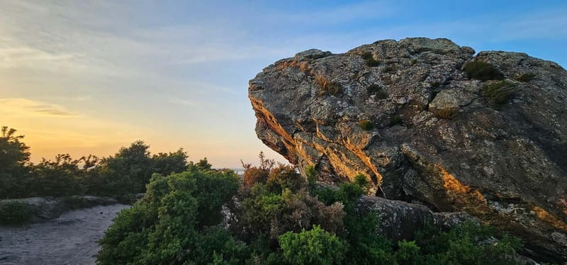 Poole: Old Harry Rocks and Corfé Castle Guided E-bike Tour - The Corfe Castle choice