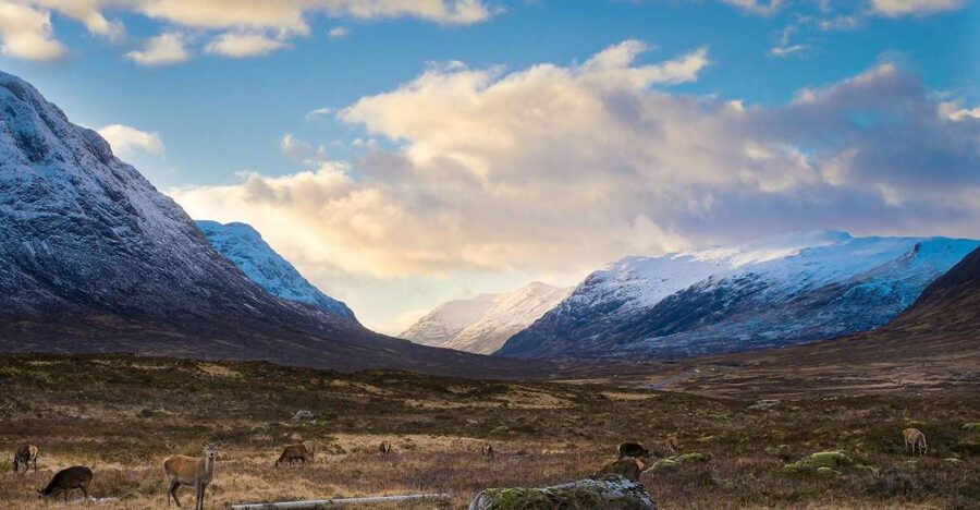 Private Harry Potter Day Tour For Small Groups - Glenfinnan Viaduct, the Potter stop with the biggest payoff