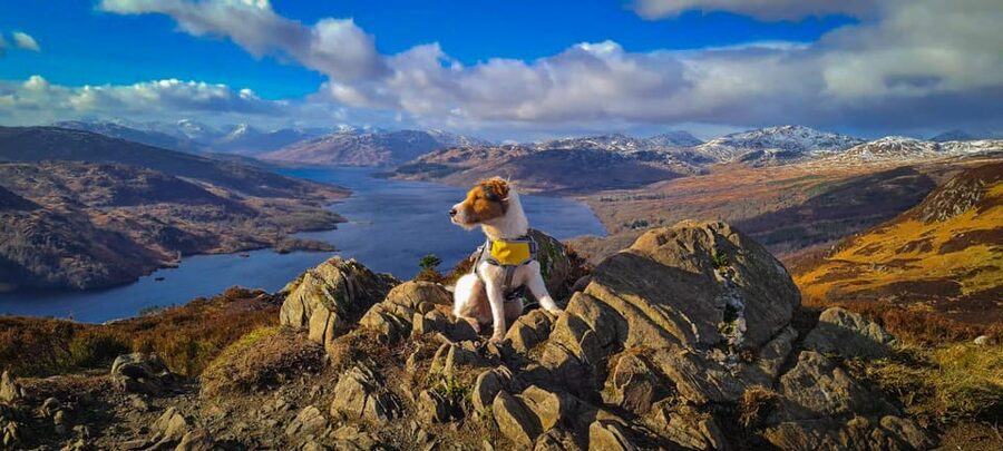 Private Tour of Highlands, Lochs & Castles from Edinburgh - What ten hours feels like on the road