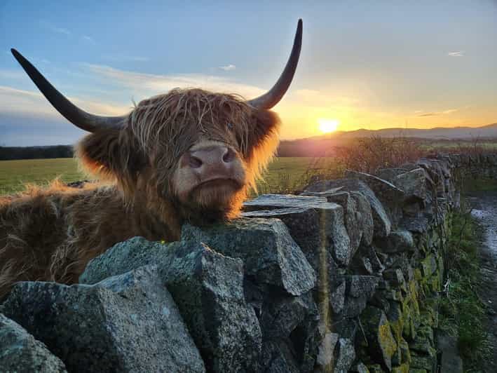 Private Tour of Highlands, Lochs & Castles from Stirling - Key points to know before booking