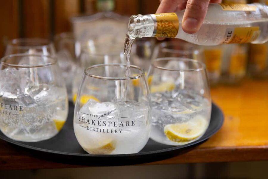 River Avon Gin Tasting Cruise - The upstream run and three gin samples