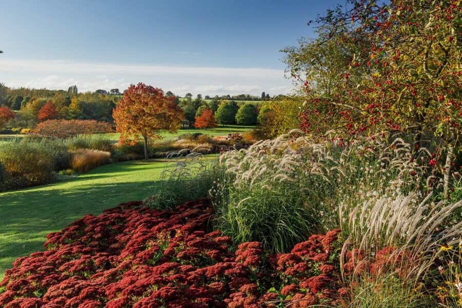 Royal Horticultural Society: Hyde Hall Garden Ticket - Arriving at a hilltop garden in Essex