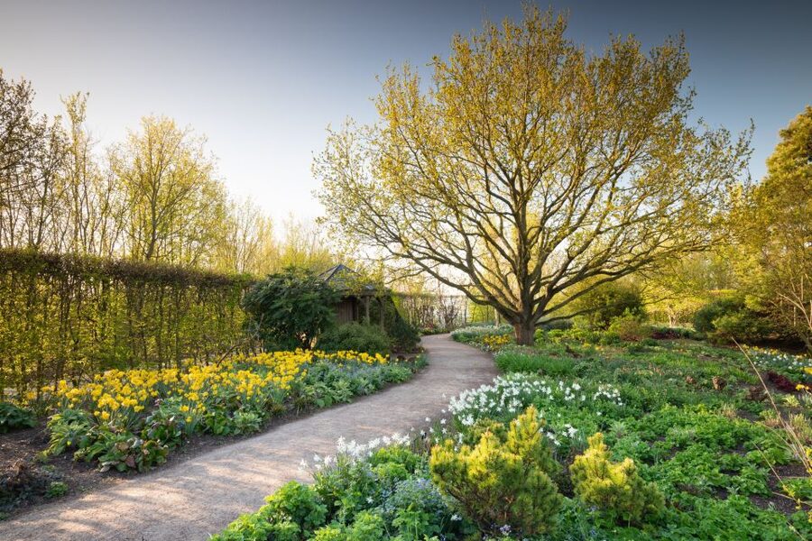Royal Horticultural Society: Hyde Hall Garden Ticket - Winter Garden, Birch Grove, and quieter paths
