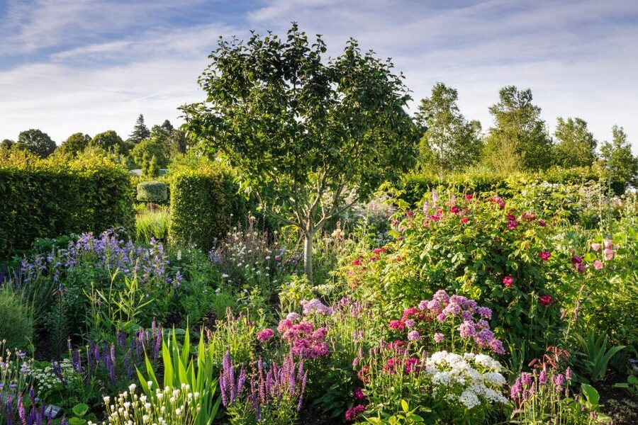 Royal Horticultural Society: Hyde Hall Garden Ticket - Making a full day comfortable