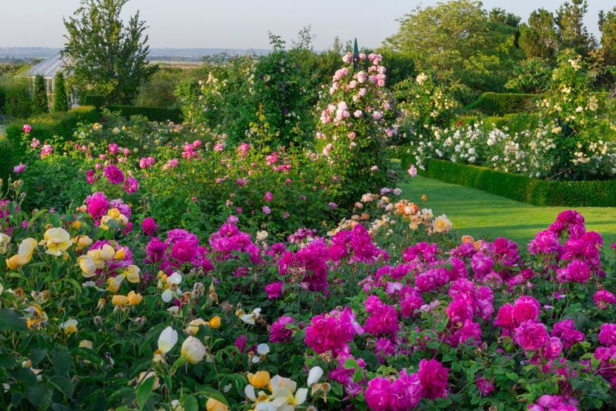 Royal Horticultural Society: Hyde Hall Garden Ticket - Access, dogs, and practical limits