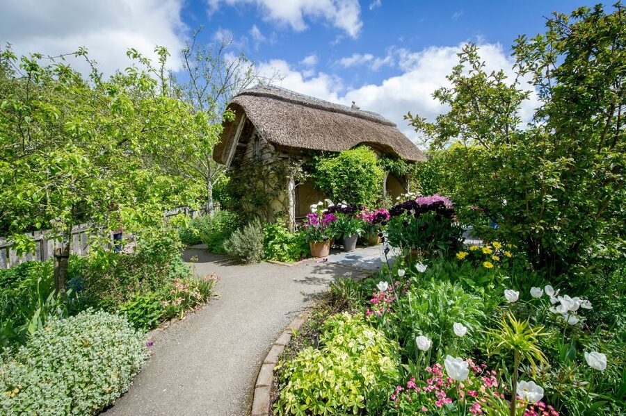 Royal Horticultural Society: Rosemoor Garden Ticket - The Hot Garden turns up the color