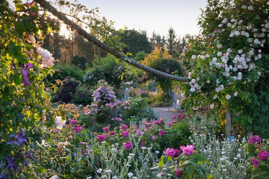 Royal Horticultural Society: Rosemoor Garden Ticket - How long should you plan for?