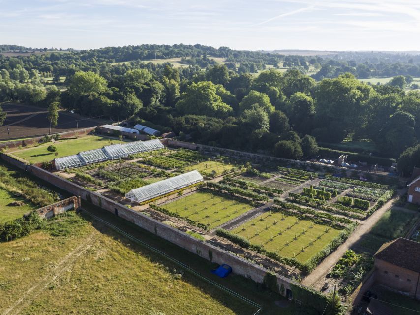Saffron Walden: Audley End House and Gardens Ticket - Walking the parkland and finding a slower rhythm