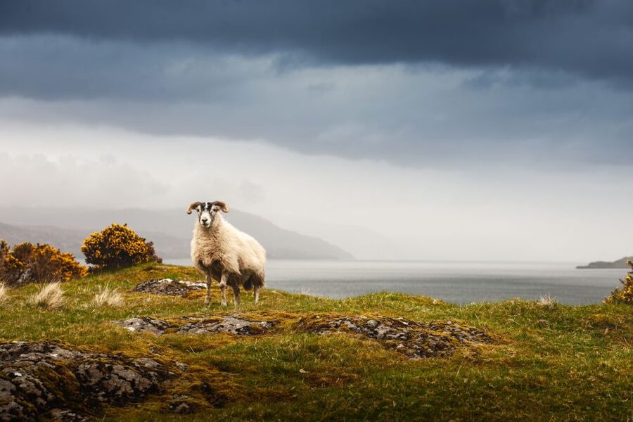Scotland: West Highlands, Mull and Iona 4-Day Tour - Day 1: From Edinburgh to Tobermory by way of Glencoe