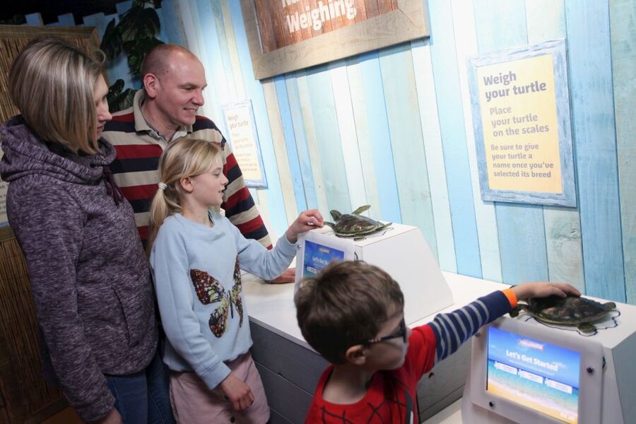 SEA LIFE Blackpool Entrance Ticket - Sharks first, then a whole world below the surface