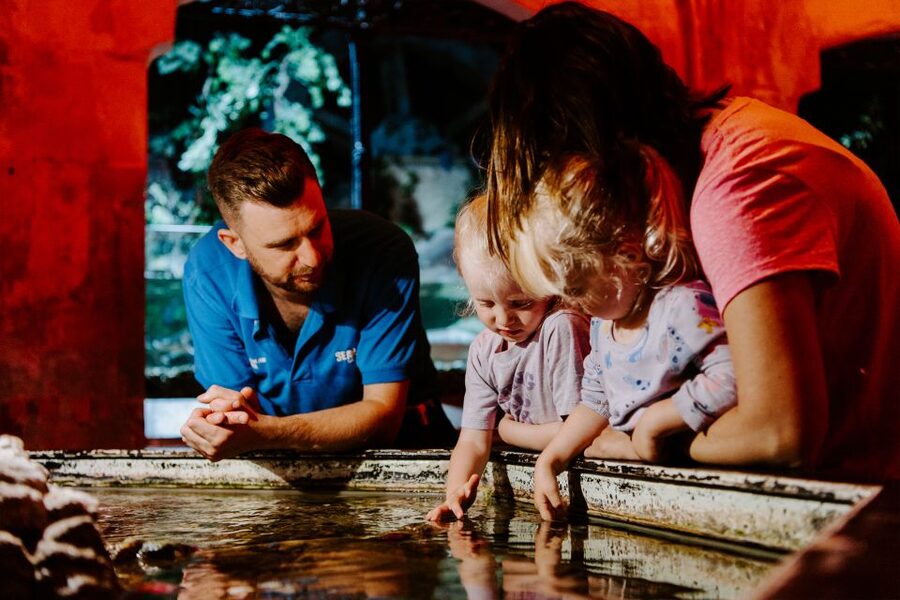 Sea Life Brighton Admission Ticket - Key points to know before you go