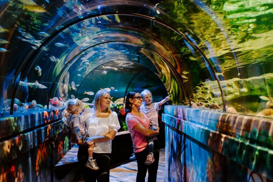 Sea Life Brighton Admission Ticket - Entering Sea Life Brighton on Marine Parade