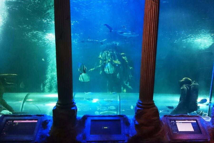 SEA LIFE Great Yarmouth - Seeing the Moon Jellyfish in Jelly Invaders