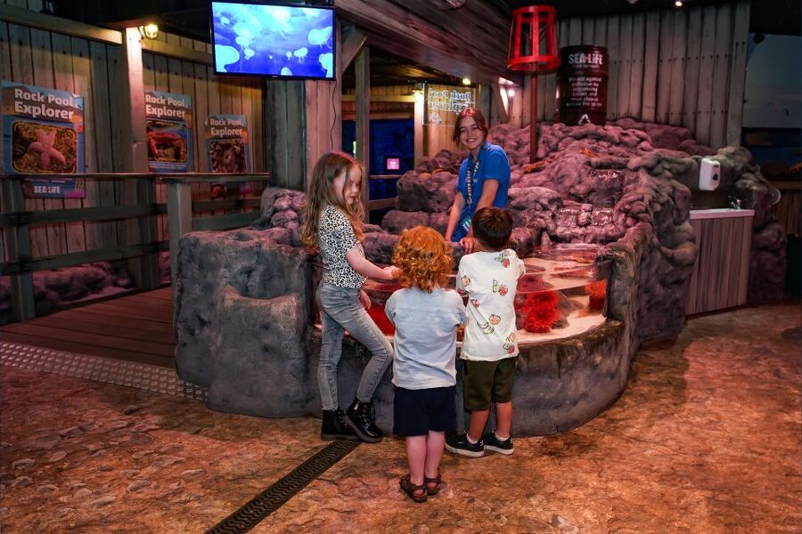 SEA LIFE Great Yarmouth - Is the $26.94 price good value?