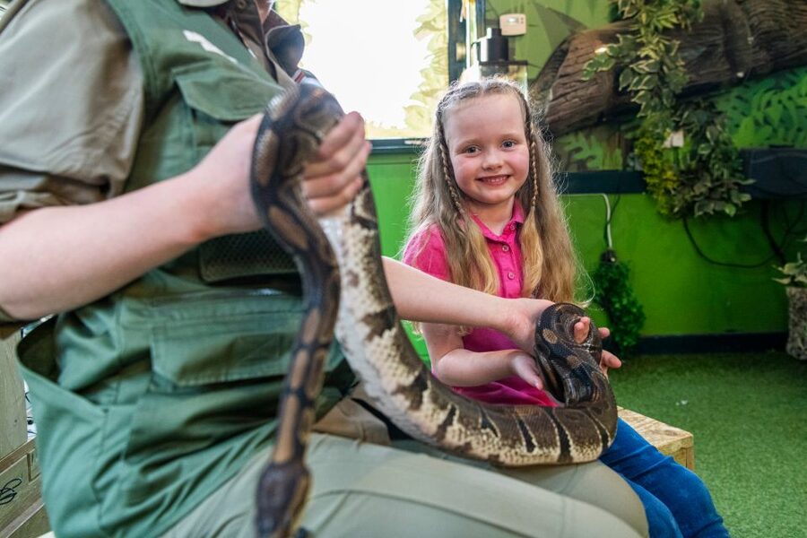 Sea Life Hunstanton - Key things to know before you go