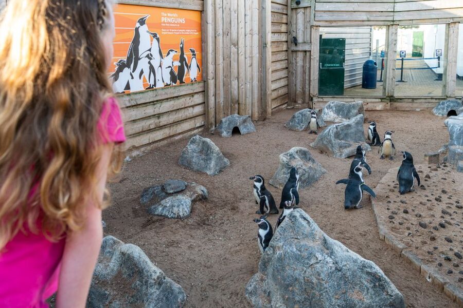 Sea Life Hunstanton - Starting at Hunstanton’s seaside aquarium
