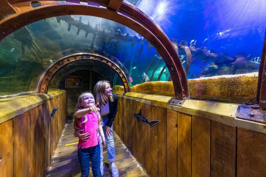 Sea Life Hunstanton - More than 2,000 creatures in one visit