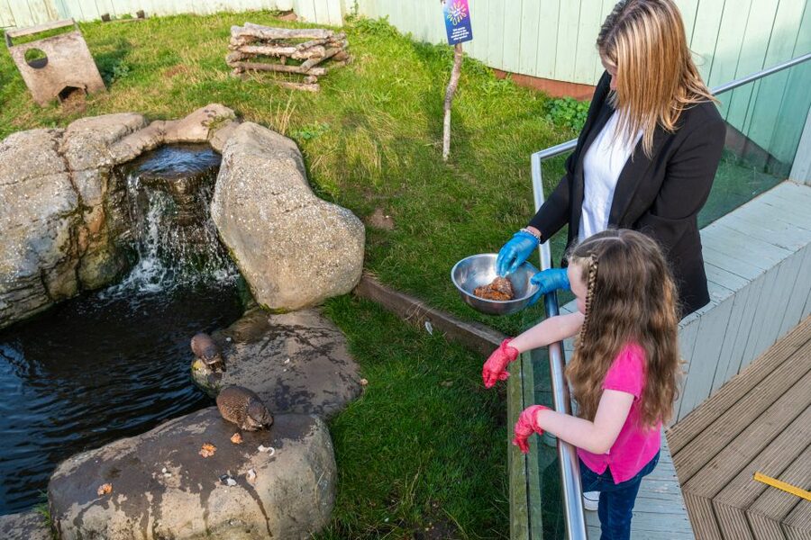Sea Life Hunstanton - Is the $21 price good value?