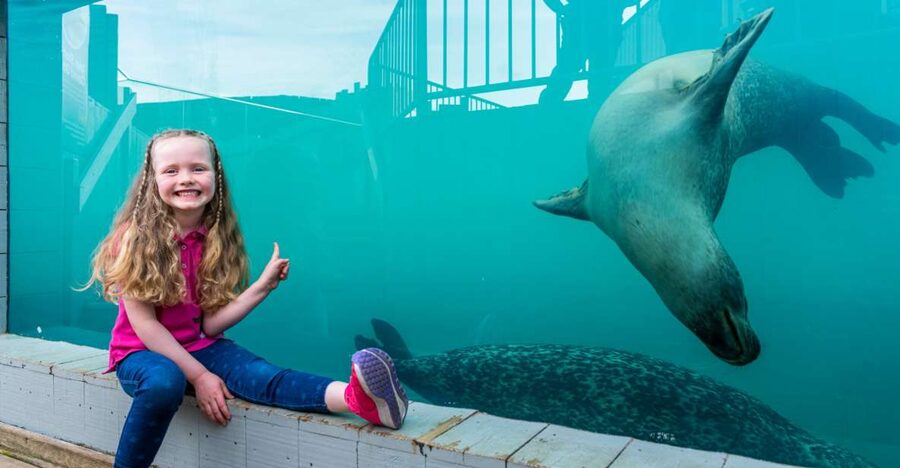 Sea Life Hunstanton - Meeting the Rainforest Rangers