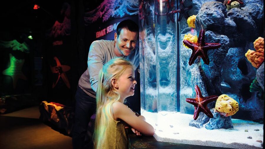SEA LIFE London & DreamWorks Shrek's Adventure: Combo Ticket - Twelve fairytales in Far Far Away