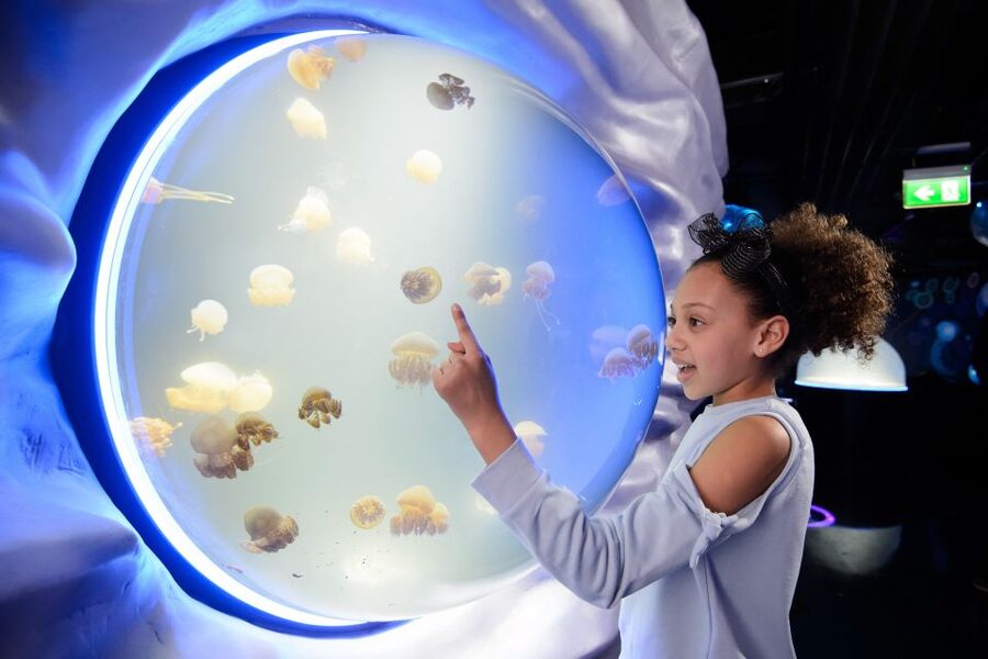 SEA LIFE London & DreamWorks Shrek's Adventure: Combo Ticket - Is $66 a fair price?
