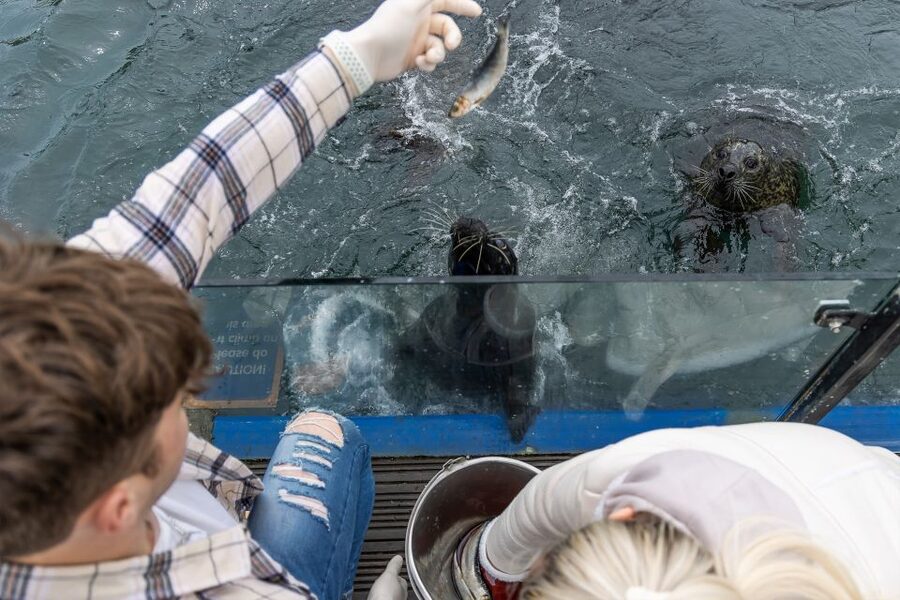 Sea Life Scarborough - Who will enjoy Sea Life Scarborough most