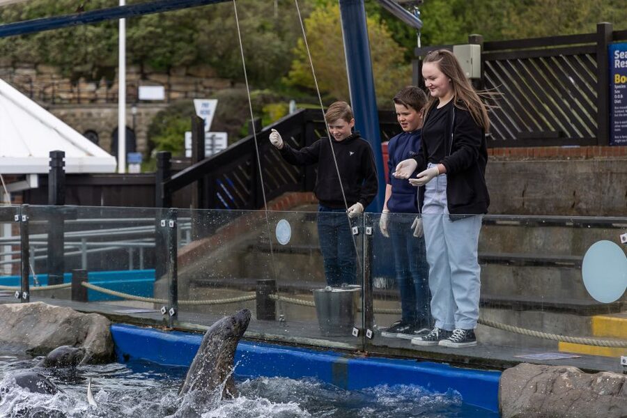 Sea Life Scarborough - Talks, feeding times, and the quiz trail add shape