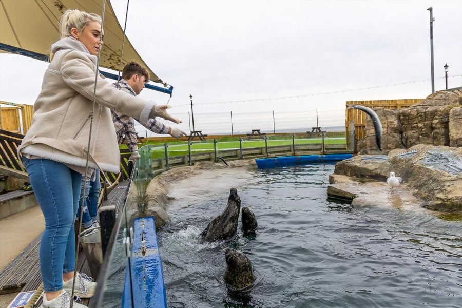 Sea Life Scarborough - Choose your arrival time with care
