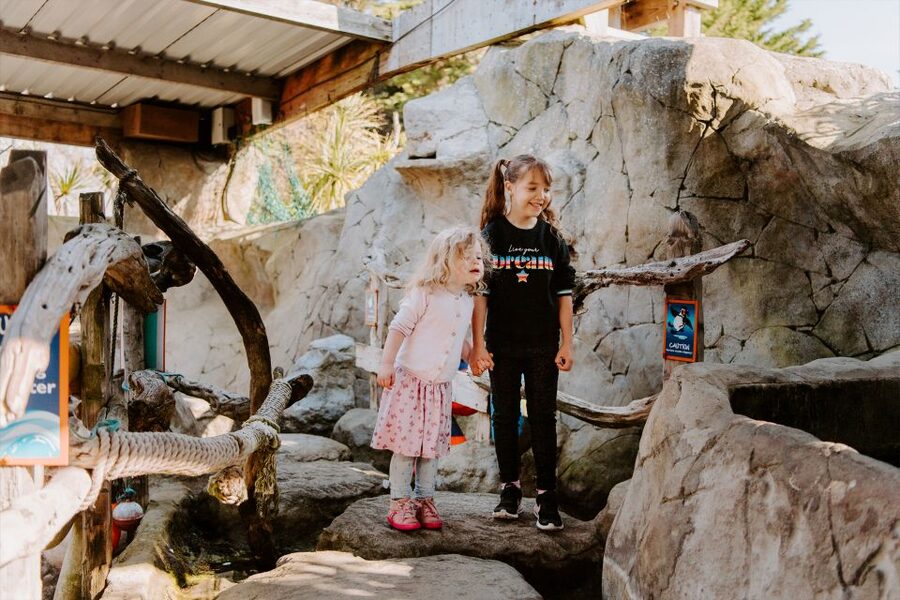 Sea Life Weymouth Admission Ticket - Key points to know before you go