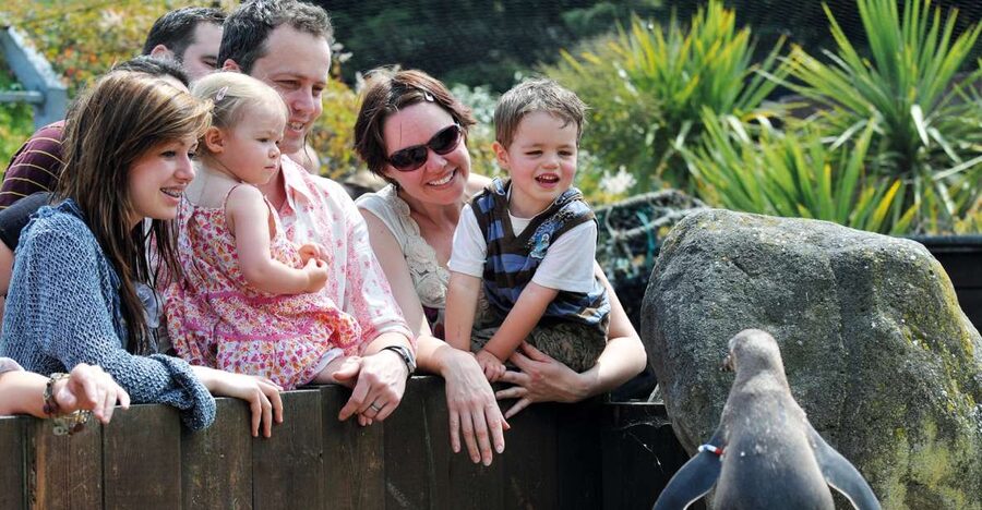Sea Life Weymouth Admission Ticket - From rock pools to the ocean depths