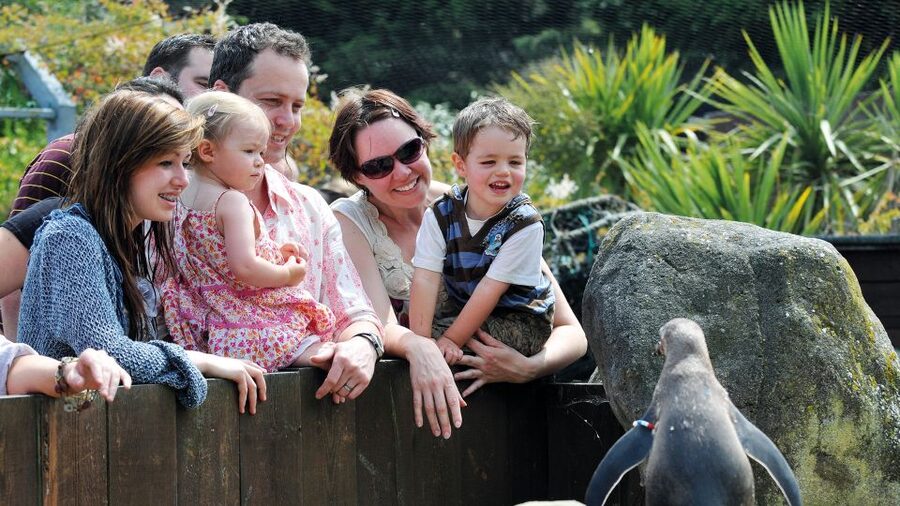 Sea Life Weymouth Admission Ticket - How to plan your timing at Sea Life Weymouth